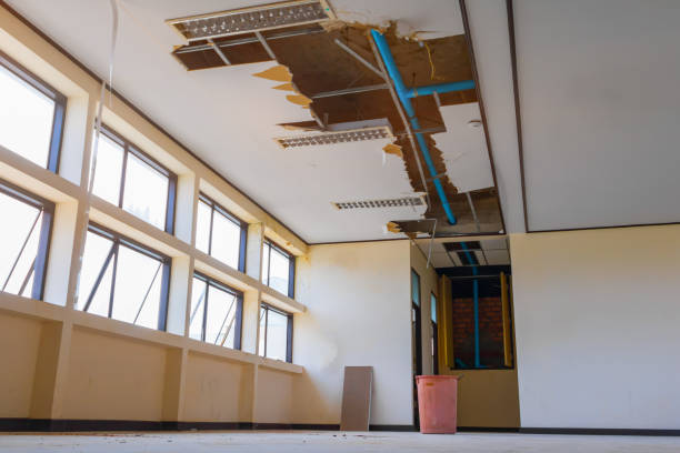 Best Water damage restoration specialists  in West Memphis, AR
