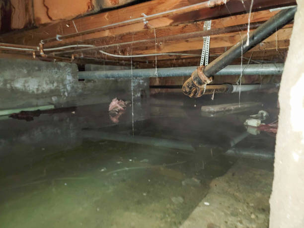  West Memphis, AR Water damage restoration Pros