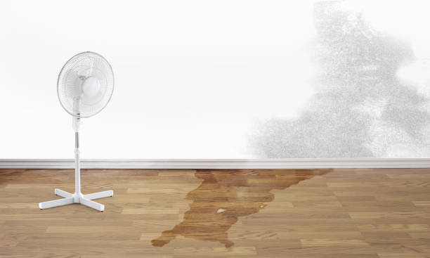 Best Water damage restoration near me  in West Memphis, AR
