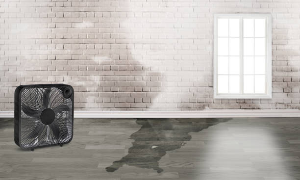 Professional Water damage restoration in West Memphis, AR