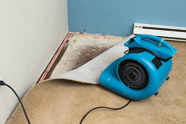 Water damage restoration mold remediation in West Memphis, AR