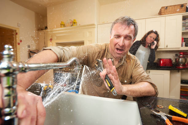 Best Water damage cleanup near me  in West Memphis, AR